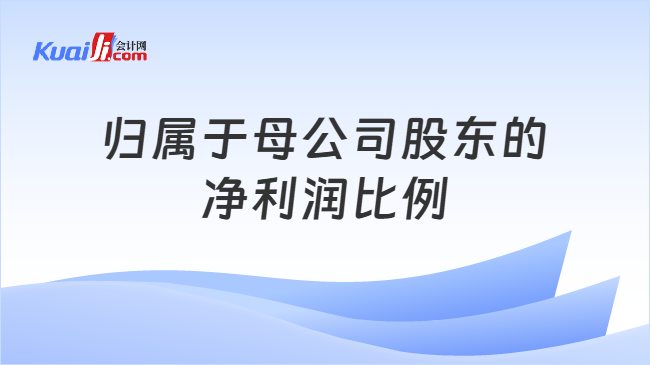 归属于母公司股东的净利润比例